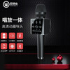 屁颠虫 无线蓝牙话筒音响一体麦克风手机全民k歌家庭ktv唱歌录音安卓苹果专用电视家用声卡网红K歌神器 x17羌色【耳机+麦套】 官方标配