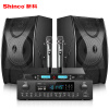 新科 (Shinco) OK980 家庭影院KTV音响组合套装 家用电视会议舞台大功率音箱功放系统（10英寸）