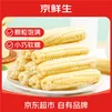 京鲜生 西双版纳拇指小玉米净重1斤装 老品种手指玉米 源头直发包邮