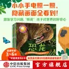 中信出版手电筒看里面科普透视绘本 自然篇（6册）【3-6岁】（恐龙+地球+冬日+海洋+热带雨林+动物伪装术）卡伦 布朗 著 中信出版社正版图书 手电筒看里面科普透视绘本