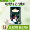 祺安4丛林系列干爽透气不闷热大吸收宝宝纸尿裤成长裤便捷装 拉拉裤XXL 4片