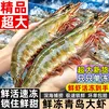 九英里青岛大虾基围虾白虾鲜活青虾海虾对虾生鲜 虾类 海鲜  超大白虾 30-40 3斤(净重)  14-16cm
