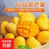正宗台芒热带芒果果园新鲜直采 （全国仓发货） 净重4.5斤单果【单果70g+】海南