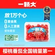 线报图片