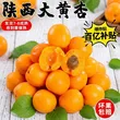 线报图片