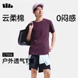 线报图片