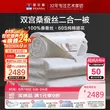 线报图片
