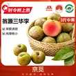 线报图片