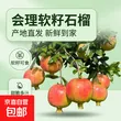 线报图片
