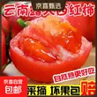 线报图片