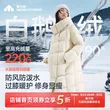 线报图片