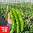 线报图片
