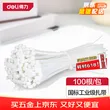 线报图片