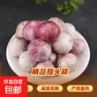 线报图片