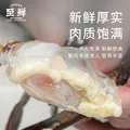 【冷冻】至鲜梭子蟹2.6斤/6-9只整只当季液氮冷冻2.5-5两/只吕四黄海螃蟹新鲜中秋礼 图片 5
