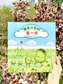 蚕豆大哥的游乐场 蚕豆大哥的每一天（全2册）3-6岁阅读 手工游戏绘本套装 走进自然 热爱生活 友谊故事 蚕豆大哥的床系列 寒暑假阅读课外书 爱心树 图片 8