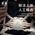 【冷冻】至鲜梭子蟹2.6斤/6-9只整只当季液氮冷冻2.5-5两/只吕四黄海螃蟹新鲜中秋礼 图片 2