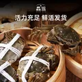 【活蟹】鱻谣大闸蟹全母2.5-2.8两4对8只去绳足重鲜活螃蟹现货生鲜蟹礼盒兴化 中秋送礼 图片 8