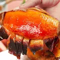 京鲜生烟薯25号蜜薯(已糖化) 净重4.5斤中果  源头直发 图片 5