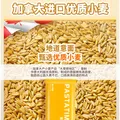 意刻（PASTATIME）意大利面直条形500g*3低脂速食儿童即食不含酱 图片 4