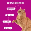 VIPET宠物平喘药氨茶碱片狗狗强心利尿猫咪缓解气喘唯宠宠喘康100mg/片 氨茶碱 20片*1盒 宠喘康（猫狗平喘） 图片 5