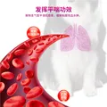 VIPET宠物平喘药氨茶碱片狗狗强心利尿猫咪缓解气喘唯宠宠喘康100mg/片 氨茶碱 20片*1盒 宠喘康（猫狗平喘） 图片 4