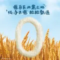 嘉宝（GERBER）婴幼儿高铁米粉维C加铁原味宝宝辅食米糊250g6-12个月 100%真验厂 图片 5