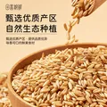 田喜粮鲜有机燕麦米 富含膳食纤维 燕麦米营养早餐代餐五谷杂粮粗粮410g 图片 6