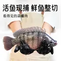 小黄象橄榄油香煎鱼排500g*2 去骨去刺罗非鱼排半成品高蛋白 图片 6