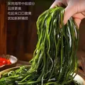 压缩海带丝干货圆饼高泡发凉拌下饭菜免洗火锅小包装 16g风干压缩海带丝【1包】 图片 3