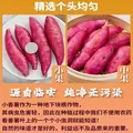 京鲜生天目小香薯净重3斤 单果约50g-150g 产地临安 香甜软糯  源头直发 图片 3