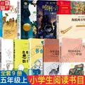 六一儿童节礼物女孩男孩】年级自选正版】清华附小推荐的100本必读书单一二三四五六年级上下册推荐第一次发现濒临危险的动物彼得兔的故事神奇校车猜猜我有多爱你长袜子皮皮等上下册儿童文学必读系列 【清华附小推 图片 2