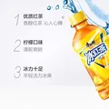 康师傅冰红茶330ml小瓶冰爽畅快香醇红茶聚会饮品 冰红茶330ml*1瓶 图片 7