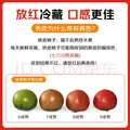 京鲜生 丹东碱地铁皮西红柿净重3斤单果50g+ 酸甜草莓番茄水果源头直发 图片 2
