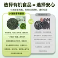 小海故事有机压缩海带丝 净重16g*10片 高泡发免洗小圆饼 源头直发 图片 5