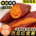 现挖沙地西瓜红蜜薯红薯新鲜农家糖心番薯烤地瓜山芋软糯批发包邮 西瓜红蜜薯9斤装 中大果含箱 图片 2