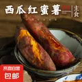现挖沙地西瓜红蜜薯红薯新鲜农家糖心番薯烤地瓜山芋软糯批发包邮 西瓜红蜜薯9斤装 中大果含箱 图片 5