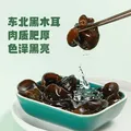 十月稻田 东北黑木耳 100g 肉厚无根 干木耳 黑龙江东宁特产 火锅煲汤凉拌 图片 2