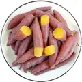 京鲜生天目小香薯净重3斤 单果约50g-150g 产地临安 香甜软糯  源头直发 图片 10