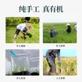 稻可道【新国标 特等五常大米】有机五常大米300g装 原粮稻花香2号 图片 5
