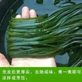 海带丝盐渍新鲜食材厚海白菜高泡发昆布丝结片 火锅食材 凉拌蔬菜 海带丝500g 图片 5