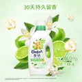 金纺衣物柔顺剂护理剂阳光桔柚2kg 除味防静电 除菌柔顺二合一 图片 2