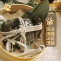 【活蟹】江问鱼 大闸蟹全母2.5两-2.8两 8只装 鲜活螃蟹生鲜中秋礼盒过节送礼 图片 5