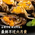 【活蟹】阳澄逍遥大闸蟹全母蟹2.3-2.6两8只鲜活螃蟹现货水产礼盒海鲜中秋送礼 图片 2