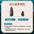大千喜草原黑珍珠瓜子葵花籽五香味独立小包装休闲零食新货炒货 【买10送10】五香口味共20小袋 图片 3