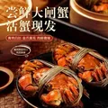 【活蟹】江问鱼 大闸蟹全母2.5两-2.8两 8只装 鲜活螃蟹生鲜中秋礼盒过节送礼 图片 2