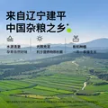 田喜粮鲜有机燕麦米 富含膳食纤维 燕麦米营养早餐代餐五谷杂粮粗粮410g 图片 5