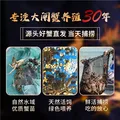 【活蟹】湖鲜阳澄 大闸蟹 去绳足重 全母蟹2.3-2.6两 8只 鲜活超大螃蟹中秋国庆礼盒装 图片 4