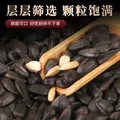 大千喜草原黑珍珠瓜子葵花籽五香味独立小包装休闲零食新货炒货 【买10送10】五香口味共20小袋 图片 4