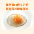 趣尝鲜五谷鲜鸡蛋15枚/盒 净重750g 源头直发 图片 6